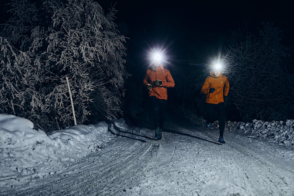 SILVA and ICEBUG Collaboration